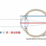 子供の視力2　遠視について