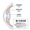 老眼（老視）について