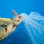 コンタクトレンズはプラスチックゴミ