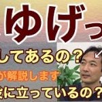 犬はどう見えているの？