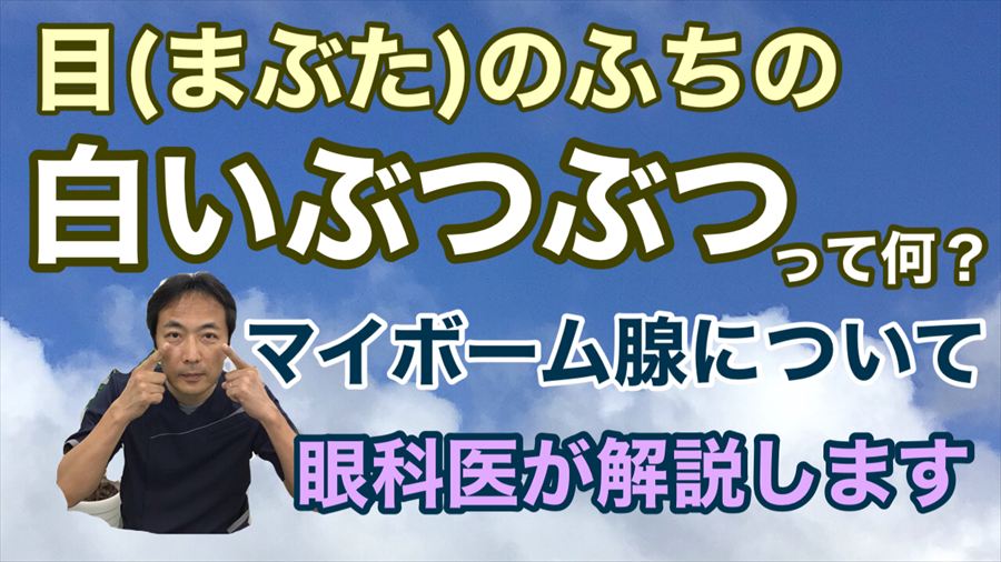 動画 目のふちの白いブツブツって何？（マイボーム腺）【東戸塚 眼科 片桐眼科クリニック】