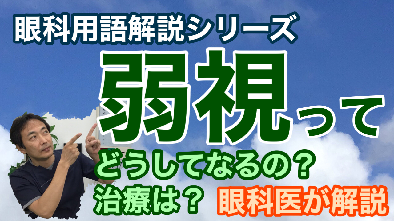 動画 弱視のお話